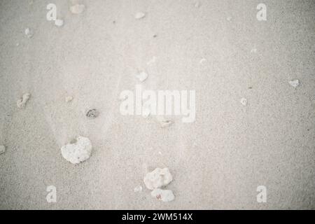 Spiaggia di sabbia bianca a Bali Foto Stock