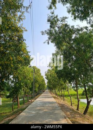 Villaggio rurale di Sundarban Island nel Bengala Occidentale in India Foto Stock