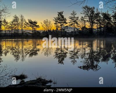 Godalming, Regno Unito. 24 febbraio 2024. Thursley Common, Elstead. 24 febbraio 2024. Un inizio di giornata gelido per le Home Counties. Alba su Elstead Moat a Thursley Common vicino a Godalming nel Surrey. Crediti: james jagger/Alamy Live News Foto Stock