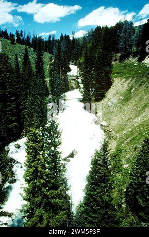 Beartooth Highway - cascate di Lake Creek Foto Stock