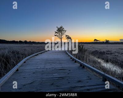 Godalming, Regno Unito. 24 febbraio 2024. Thursley Common, Elstead. 24 febbraio 2024. Un inizio di giornata gelido per le Home Counties. Alba su Elstead Moat a Thursley Common vicino a Godalming nel Surrey. Crediti: james jagger/Alamy Live News Foto Stock