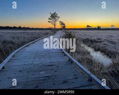 Godalming, Regno Unito. 24 febbraio 2024. Thursley Common, Elstead. 24 febbraio 2024. Un inizio di giornata gelido per le Home Counties. Alba su Elstead Moat a Thursley Common vicino a Godalming nel Surrey. Crediti: james jagger/Alamy Live News Foto Stock