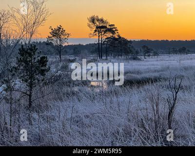 Godalming, Regno Unito. 24 febbraio 2024. Thursley Common, Elstead. 24 febbraio 2024. Un inizio di giornata gelido per le Home Counties. Alba su Elstead Moat a Thursley Common vicino a Godalming nel Surrey. Crediti: james jagger/Alamy Live News Foto Stock