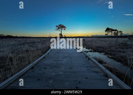 Godalming, Regno Unito. 24 febbraio 2024. Thursley Common, Elstead. 24 febbraio 2024. Un inizio di giornata gelido per le Home Counties. Alba su Elstead Moat a Thursley Common vicino a Godalming nel Surrey. Crediti: james jagger/Alamy Live News Foto Stock