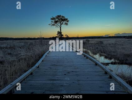 Godalming, Regno Unito. 24 febbraio 2024. Thursley Common, Elstead. 24 febbraio 2024. Un inizio di giornata gelido per le Home Counties. Alba su Elstead Moat a Thursley Common vicino a Godalming nel Surrey. Crediti: james jagger/Alamy Live News Foto Stock