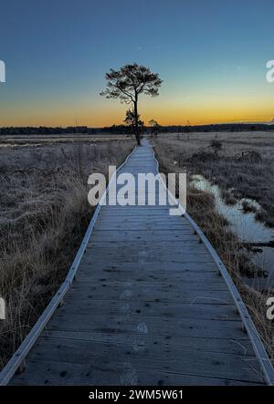 Godalming, Regno Unito. 24 febbraio 2024. Thursley Common, Elstead. 24 febbraio 2024. Un inizio di giornata gelido per le Home Counties. Alba su Elstead Moat a Thursley Common vicino a Godalming nel Surrey. Crediti: james jagger/Alamy Live News Foto Stock