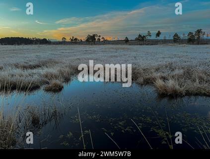 Godalming, Regno Unito. 24 febbraio 2024. Thursley Common, Elstead. 24 febbraio 2024. Un inizio di giornata gelido per le Home Counties. Alba su Elstead Moat a Thursley Common vicino a Godalming nel Surrey. Crediti: james jagger/Alamy Live News Foto Stock