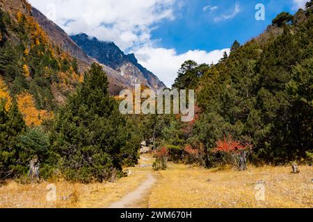 Paesaggio montuoso dell'Himalaya sulla strada per il campo base di Kanchenjunga a Taplejung Nepal Foto Stock