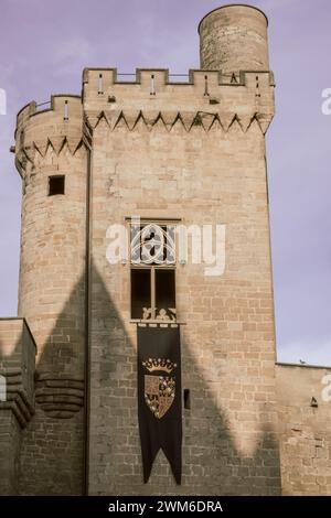 Un maestoso pomeriggio al Palace de Olite (Navarra, Spagna) Foto Stock