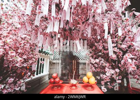 Santuario decorato in rosa al Tempio Man Mo a Sheung Wan, Hong Kong Foto Stock