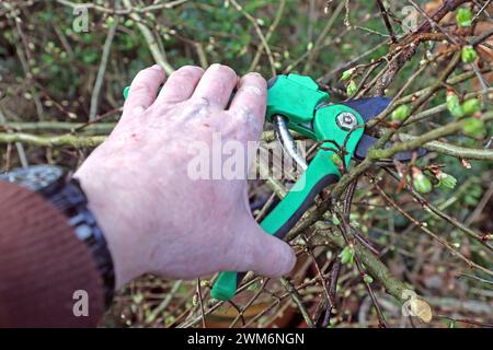 Gesetz zum Vogelschutz am 1. März eines Jahres beginnt die Brutzeit der Vögel und Fällungen, Rodungen, auf Stock setzen oder abschneiden ist bis auf wenige Ausnahmen laut paragrafo 39 Bundesnaturschutzgesetz Brut- und Setzzeit - bis zum 30. September eines Jahres verboten Essen Nordrhein-Westfalen Deutschland *** legge sulla protezione degli uccelli la stagione riproduttiva degli uccelli inizia il 1° marzo di ogni anno e sono vietati l’abbattimento, la sgombero, l’accantonamento o il taglio fino al 30 settembre di ogni anno, con poche eccezioni, secondo la sezione 39 del Federal Nature Conservation Act Breeding and Setting Sea Foto Stock