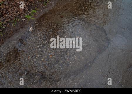 Chalfont St Giles, Regno Unito. 24 febbraio 2024. Una poppa piena di acqua di inondazione. Le inondazioni rimangono nel villaggio di Chalfont St Giles nel Buckinghamshire. Anche se i campi e il centro della città sono soggetti a inondazioni, secondo i social media alcuni residenti locali ritengono che l'estensione delle inondazioni in corso potrebbe essere il risultato di un tunnel HS2 nella falda acquifera di gesso per i tunnel ad alta velocità della ferrovia Chiltern che sta spostando l'acqua. Crediti: Maureen McLean/Alamy Live News Foto Stock
