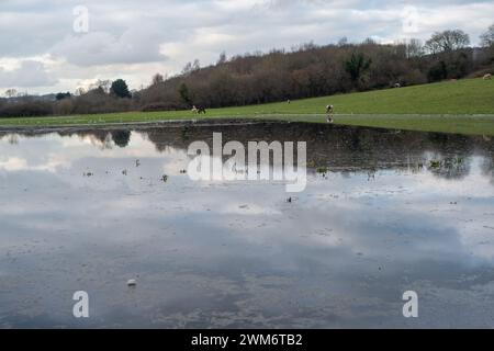 Chalfont St Giles, Regno Unito. 24 febbraio 2024. Le inondazioni rimangono nel villaggio di Chalfont St Giles nel Buckinghamshire. Anche se i campi e il centro della città sono soggetti a inondazioni, secondo i social media alcuni residenti locali ritengono che l'estensione delle inondazioni in corso potrebbe essere il risultato di un tunnel HS2 nella falda acquifera di gesso per i tunnel ad alta velocità della ferrovia Chiltern che sta spostando l'acqua. Crediti: Maureen McLean/Alamy Live News Foto Stock