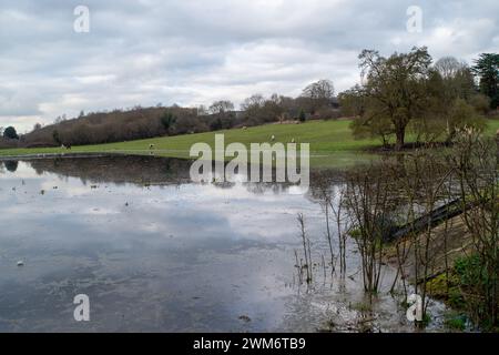 Chalfont St Giles, Regno Unito. 24 febbraio 2024. Le inondazioni rimangono nel villaggio di Chalfont St Giles nel Buckinghamshire. Anche se i campi e il centro della città sono soggetti a inondazioni, secondo i social media, i residenti locali ritengono che l'entità delle inondazioni in corso possa essere il risultato di un tunnel HS2 nella falda acquifera di gesso per i tunnel ad alta velocità della ferrovia Chiltern. Crediti: Maureen McLean/Alamy Live News Foto Stock