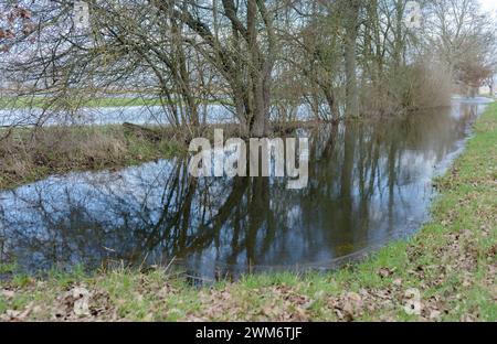 Prati allagati nell'Altmark, Sassonia-Anhalt, Germania Foto Stock