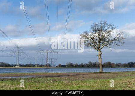 Prati allagati di piloni elettrici nell'Altmark, Sassonia-Anhalt, Germania Foto Stock