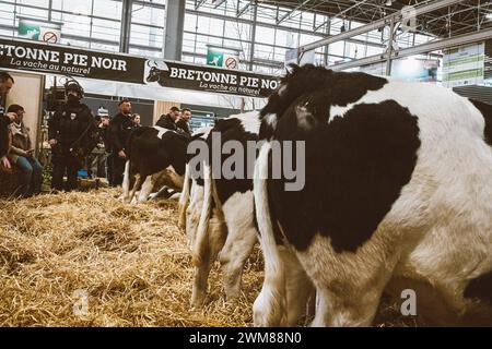 © Olivier Donnars/le Pictorium/MAXPPP - Parigi 15 24/02/2024 Olivier Donnars/le Pictorium - 24/02/2024 - Francia/Parigi 15 - Au Salon de l'agriculture, plusieurs dizaines de CRS encadrent la visite d'Emmanuel Macron, accueilli sous les huees et les sifflets. - Valeurs ACtuelles Out, RUSSIA OUT, NO RUSSIA #norussia, no jdd, jdd out/24/02/2024 - Francia/Parigi 15° distretto (15° arrondissement di Parigi) - il Salon International de l'agriculture è stato aperto tardi a causa degli scontri scoppiati quando c'era Emmanuel Macron. Crediti: MAXPPP/Alamy Live News Foto Stock