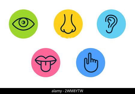 Cinque sensi umani visione occhio, odore naso, udito orecchio, toccare mano, gusto bocca e lingua. Set di icone vettore di linea Illustrazione Vettoriale