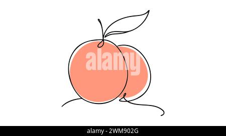 Frutta di pesca in stile disegno a linee continue. Semplice schizzo nero costituito da una linea isolata su sfondo bianco. Illustrazione vettoriale Illustrazione Vettoriale