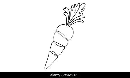 Verdure di carote in una linea continua stile artistico. Pianta di carota in crescita schizzo lineare nero minimalista isolato su sfondo bianco. Il vettore Illustrazione Vettoriale