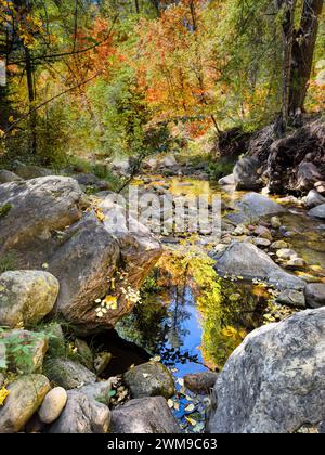 I colori autunnali si riflettono nelle acque di Christopher Creek nel SEE Canyon of the Rim Country vicino a Payson, Arizona. Foto Stock