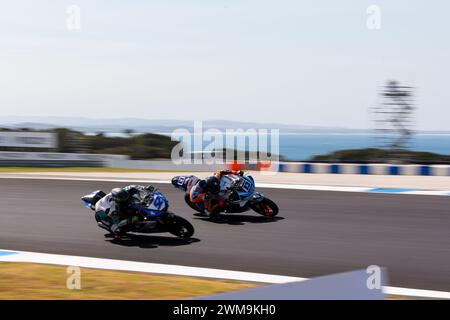 Phillip Island, Australia, 25 febbraio 2024. Le moto Supersport australiane sono viste alla prima curva durante i Campionati Mondiali di Superbike Australiani Motul FIM al Phillip Island Grand Prix Circuit il 25 febbraio 2024 a Phillip Island, Australia. Crediti: Dave Hewison/Speed Media/Alamy Live News Foto Stock