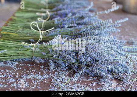 lavanda secca biologica su un tavolo per la vendita in un fienile rustico legato a spago. Foto di alta qualità Foto Stock