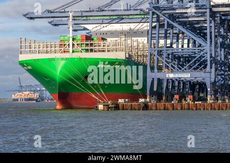 Felixstowe, Suffolk, Inghilterra, Regno Unito - 22 novembre 2022: Vista di una nave container nel porto di Felixstowe Foto Stock