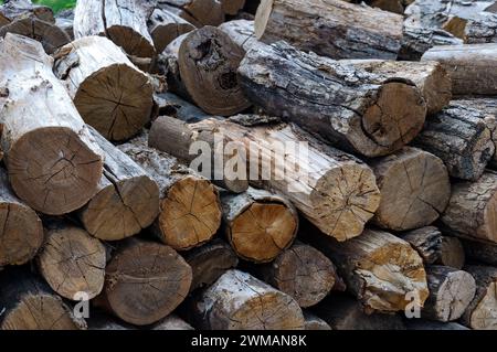 Pila di legname naturale impilato, fondo in legno, vista frontale. Vecchi tronchi per un fuoco o una stufa. Foto Stock