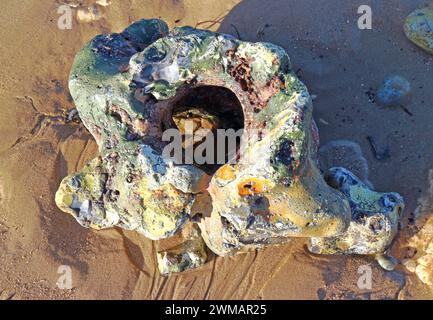 Una selce di paramoudra o una pietra in vaso rivelata in acqua bassa durante una marea primaverile sulla costa del Norfolk a West Runton, Norfolk, Inghilterra, Regno Unito. Foto Stock