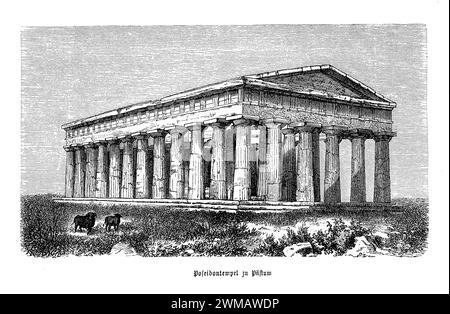 Il secondo Tempio di Hera, comunemente indicato anche come Tempio di Nettuno, è un magnifico esempio di architettura greca antica situato nel sito archeologico di Paestum, Campania, Italia. Risalente al 450 a.C. circa, questo tempio è uno dei templi dorici meglio conservati al mondo, che mostra la grandiosità e la precisione della costruzione del tempio greco. Le sue dimensioni enormi, le proporzioni eleganti e l'armoniosa disposizione delle colonne evidenziano i progressi architettonici del tempo Foto Stock