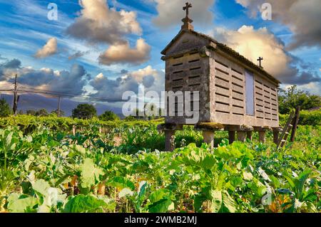 Horreo, vicino a Porto do Son, provincia di Coruña, Galizia, Spagna Foto Stock