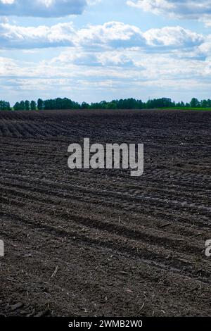 Cielo nuvoloso su un ampio campo appena arato. Foto Stock