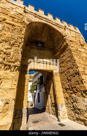 Vista di viaggio su strade strette e colorate, Cordova, Andalusia, Spagna meridionale, Europa, UE. Un posto meraviglioso per passeggiare in città Foto Stock