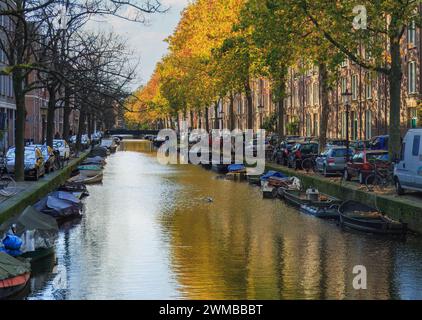 Amsterdam, Nedherlands - 5 novembre 2017: Skyline del centro città con case in mattoni e barche. Famoso punto di riferimento della vecchia città europea in autunno. Foto Stock