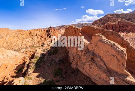Vista dall'alto del bellissimo paesaggio del canyon Skazka. Rocks Fairy tale - famosa destinazione in Kirghizistan. Formazioni rocciose a forma di drago spi Foto Stock