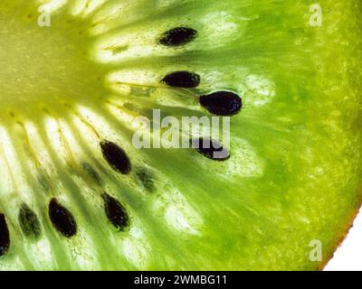 Fetta di kiwi isolata su sfondo bianco. Primo piano. Foto Stock