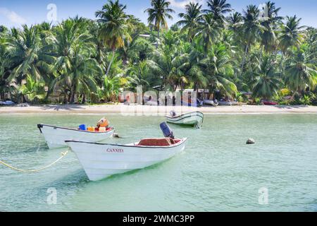 Barche da pesca ormeggiate nella piccola cittadina di Laborie sulla costa sud-occidentale di Saint Lucia, Indie occidentali Foto Stock