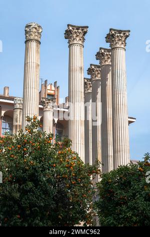 Il Tempio Romano (Tempio Romano) è il resto del palazzo municipale di Córdoba in Andalusia, Spagna meridionale. Il sito è stato scoperto negli anni '1950 Foto Stock