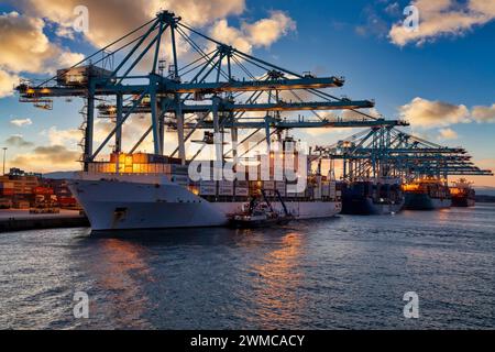 Nave Container, porto commerciale di Algeciras, Cadice, Andalusia, Spagna, Europa Foto Stock