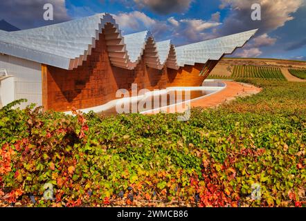 Vigneti, Bodegas Ysios, progettato dall'architetto Santiago Calatrava, LaGuardia, Rioja Alavesa, Araba, Paesi Baschi, Spagna Foto Stock