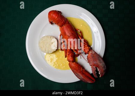 Piatto americano di pesce cotto rosso aragosta con riso e salsa alla crema di sherry o Cognac, scritto anche a Newburg o Newburgh Foto Stock