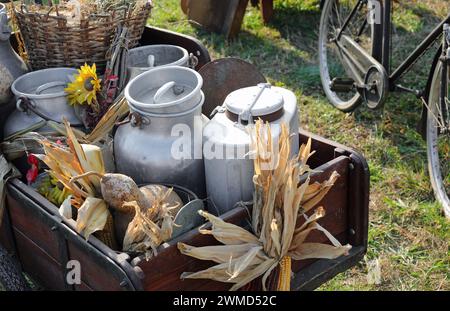 raccolta di lattine di latte in alluminio intemperie traboccanti di prodotti agricoli freschi, racchiuse in un vecchio carrello in legno che evoca un senso di nostalgia Foto Stock