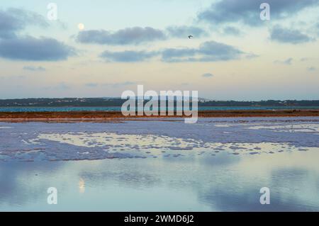Tramonto con luna piena sulle salinas vicino a Estany Pudent (la Savina, Parco naturale di Ses Salines, Formentera, Isole Baleari, Mar Mediterraneo, Spagna) Foto Stock