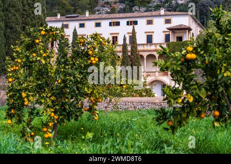 Raixa, proprietà pubblica, comune di Bunyola, Maiorca, Isole Baleari, Spagna Foto Stock