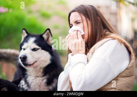 Donna che soffre di allergia accanto a Husky Dog Foto Stock