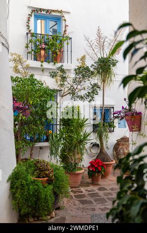 Angolo di un vecchio villaggio andaluso, vasi traboccanti di fiori vibranti adornano le pareti intemprate, luogo pittoresco. Foto Stock