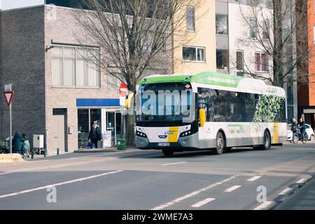 Gent, Belgio - gennaio 31 2024: Autobus elettrico de lijn ecologico che corre sulle strade belghe. bus a basse emissioni o senza emissioni dal delijn Foto Stock