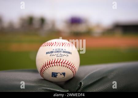 Una partita di baseball si trova sulla rotaia prima di una partita di baseball primaverile della MLB contro i Chicago Cubs, sabato 24 febbraio 2024, a Scottsdale, Arizon Foto Stock