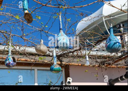 Zucche secche turche come decorazione domestica 1 Foto Stock